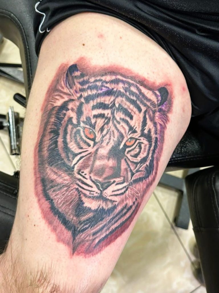 Tattoo - Tiermotiv, Tiger, farbig, realistic
